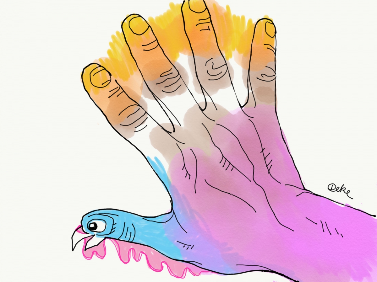 what does a hand turkey look like